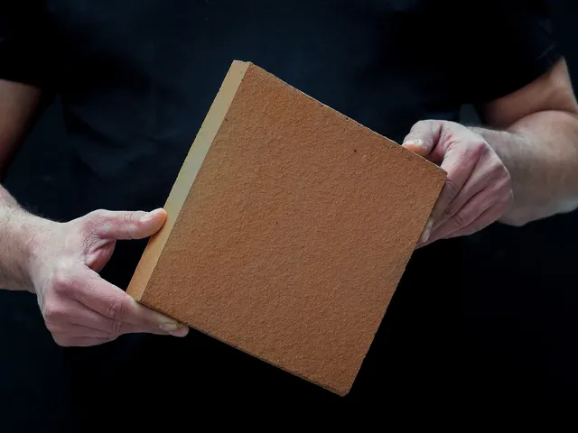 fayol-flamm-dalle-r-fractaire-22x22x3-cm-flamm-e image 1